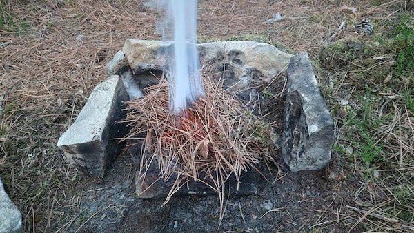 Атмосферные фотографии жизни на природе (11 фото)