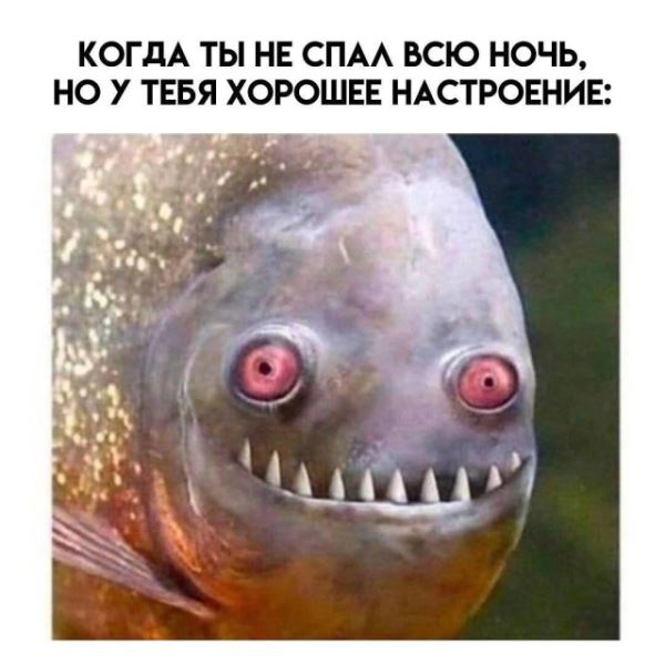 Пятничные фотоприколы: «Во сколько ты обычно заканчиваешь работать?» (36 фото)