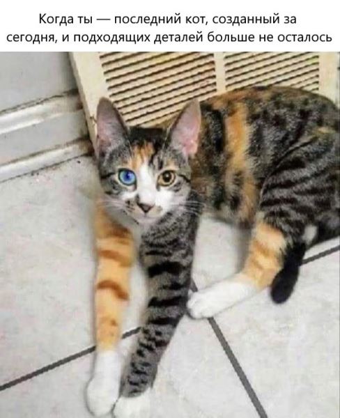 Котомемы для настроения (16 шт)