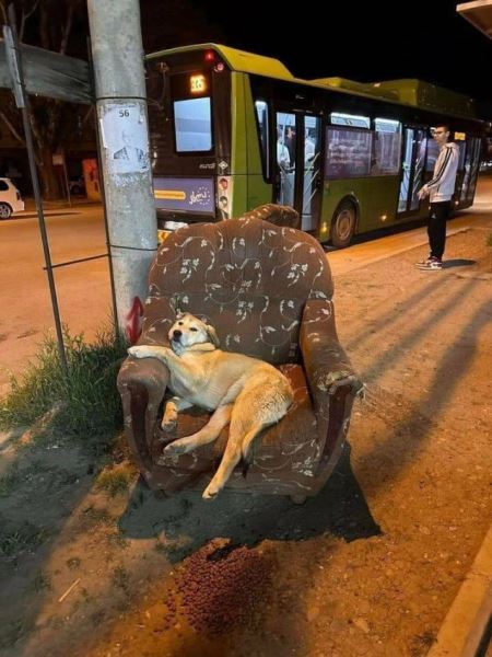 Весёлые пятничные картинки: «Дорогие керамисты!» (36 фото)