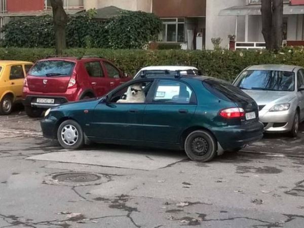 АВТОприкольные картинки: «Это был всего лишь вопрос времени…» (24 фото)