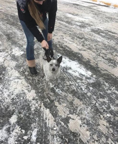 Неожиданные совпадения и сходства (33 фото)