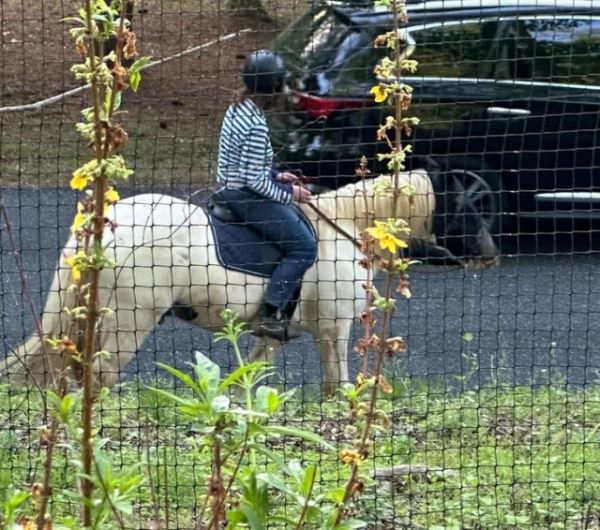 Забавные фотоиллюзии (13 шт)