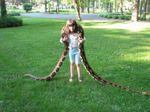 Прикольные картинки для настроения: «Бьюти-советы для мужиков…» (26 фото)