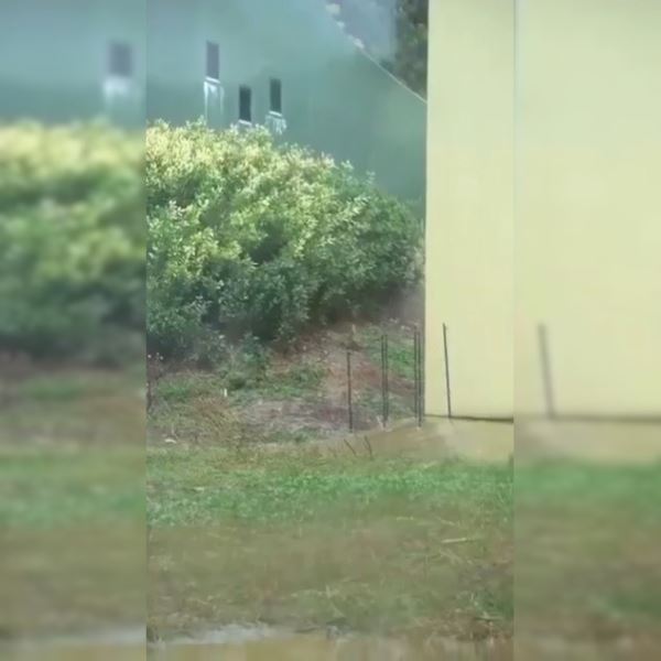 …и скрылись в неизвестном направлении