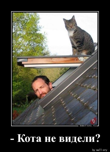 Демотиваторы дня: «Детское заблуждение — …» (14 фото)