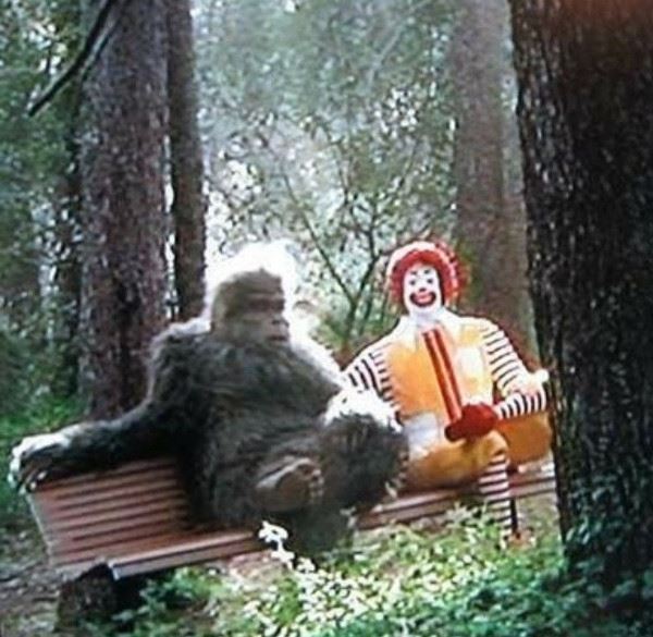 Бро, ты в порядке? (15 фото)