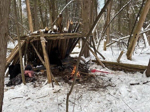 Атмосферные фотографии жизни на природе (11 фото)