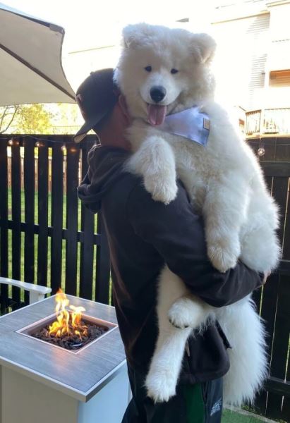 Большие друзья человека (20 фото)