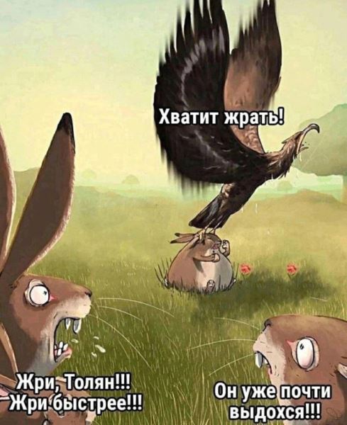 Весёлые пятничные картинки: «Дорогие керамисты!» (36 фото)