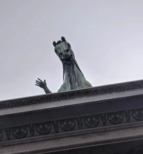 Забавные фотоиллюзии (13 шт)