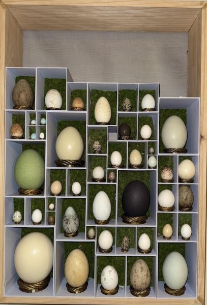 Уникальные и странные коллекции (18 фото)