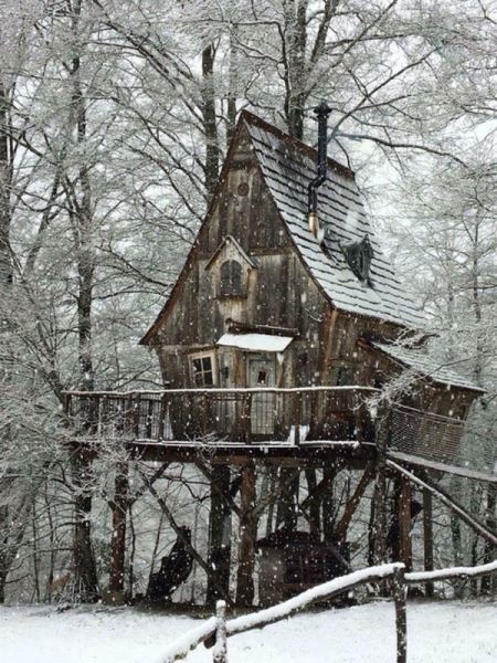 Хочу, хочу, хочу! (27 фото)