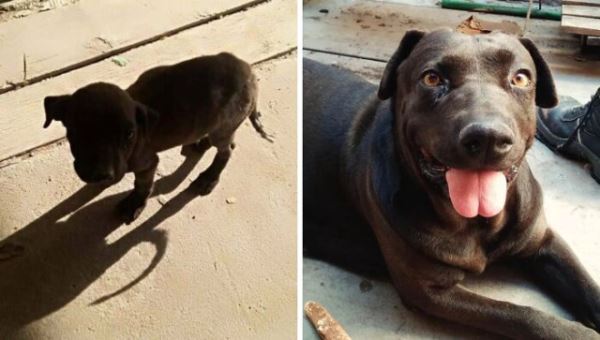 Впечатляющие преображения, которые вызовут улыбку (20 фото)