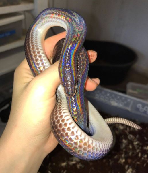 Прикольные картинки для настроения: «Вчера же только 1 июля было» (22 фото)