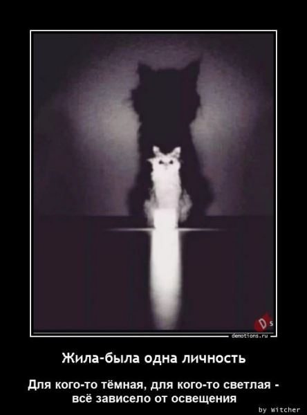 Демотиваторы дня: «Детское заблуждение — …» (14 фото)