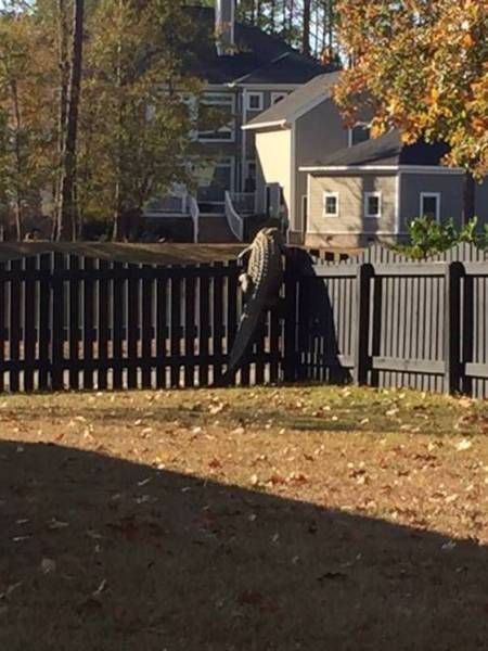 Прикольные картинки для настроения: «Бьюти-советы для мужиков…» (26 фото)