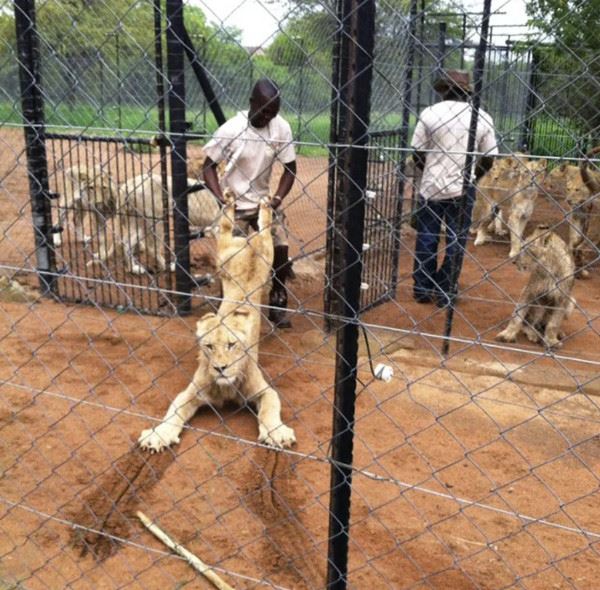 Что здесь происходит?! (16 фото)