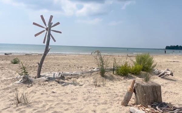 Атмосферные фотографии жизни на природе (11 фото)