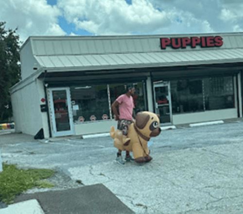 Злодей в костюме щенка чуть не задушил подростка