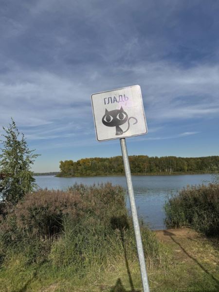 Смешные объявления, вывески и реклама: «Печенье кокосовое…» (12 фото)