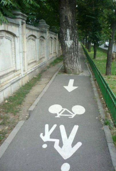 Фотоприколы в понедельник: «Туи ели сосны» (29 фото)