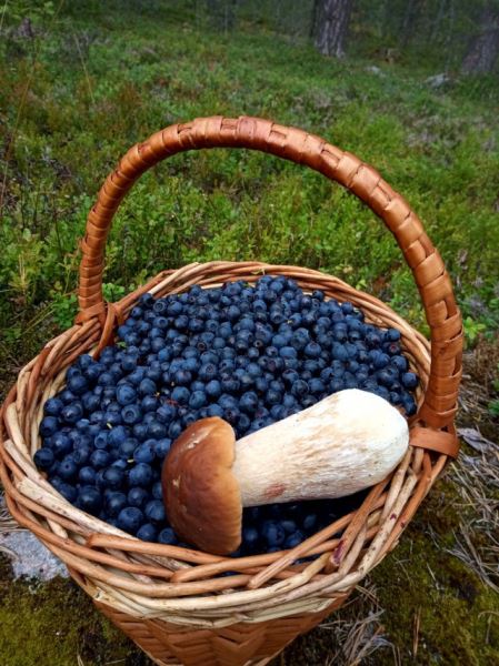 Фотопозитив в понедельник: «Называйте меня эскалатор…» (31 фото)