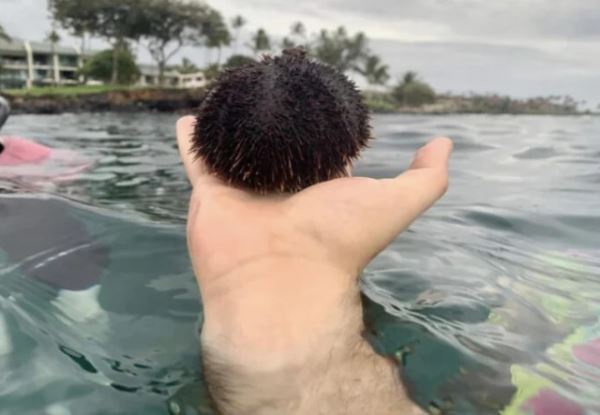 Прикольные фотографии, на которые придётся взглянуть дважды (12 шт)