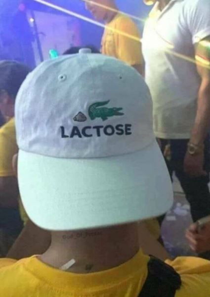 Нет-нет, только не это! (22 фото)