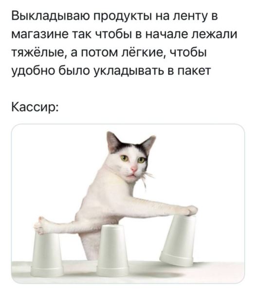 Середина недели — приколы подоспели: «Что нравится в постели?» (36 фото)