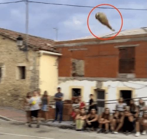 В деревне прошёл чемпионат по метанию ветчины