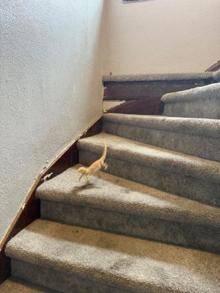 Что здесь происходит?! (16 фото)