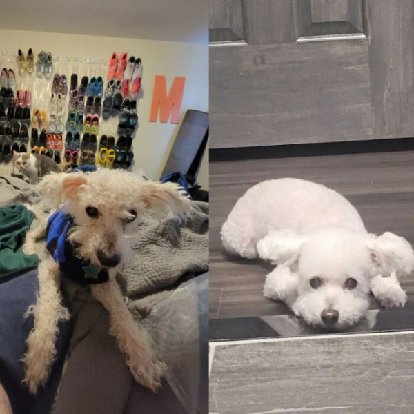 Впечатляющие преображения, которые вызовут улыбку (20 фото)