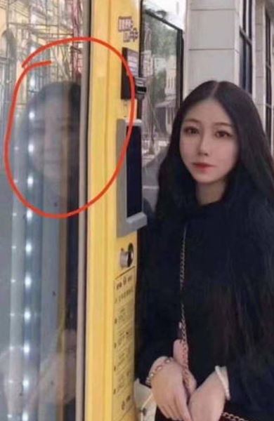 Фотоприколы в понедельник: «Туи ели сосны» (29 фото)