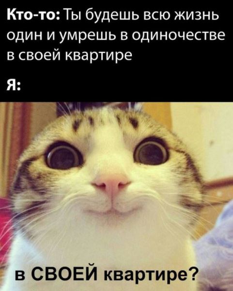 Середина недели — приколы подоспели: «Что нравится в постели?» (36 фото)