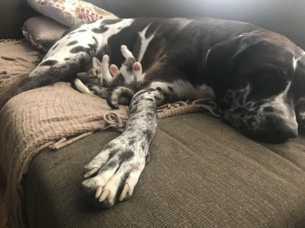 Фотоприколы в понедельник: «Туи ели сосны» (29 фото)