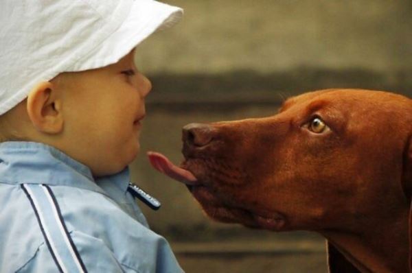 Смешные стоп-кадры и фотоиллюзии (15 шт)