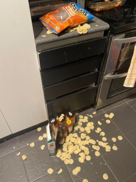 Неудачный день в картинках (31 фото)