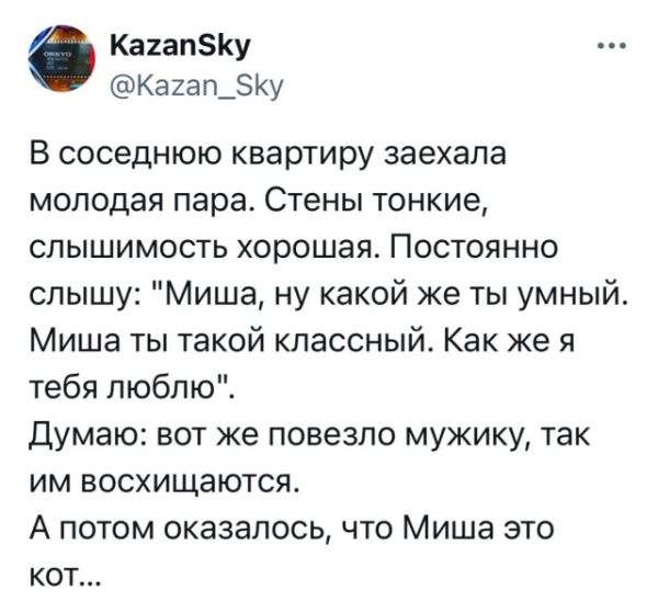 Приколы дня для всех и для каждого: «Когда единственный на созвоне…» (28 фото)