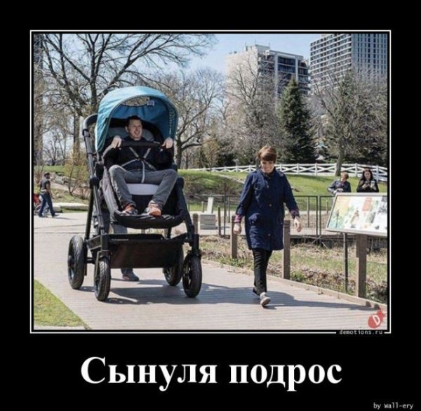 Демотиваторов пост: «Дорогу королю!» (13 фото)