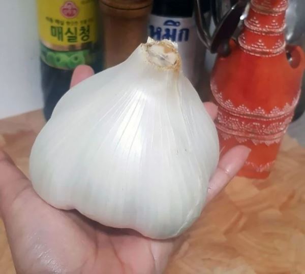 ОГОрод: фрукты-гиганты и овощи-великаны (12 фото)