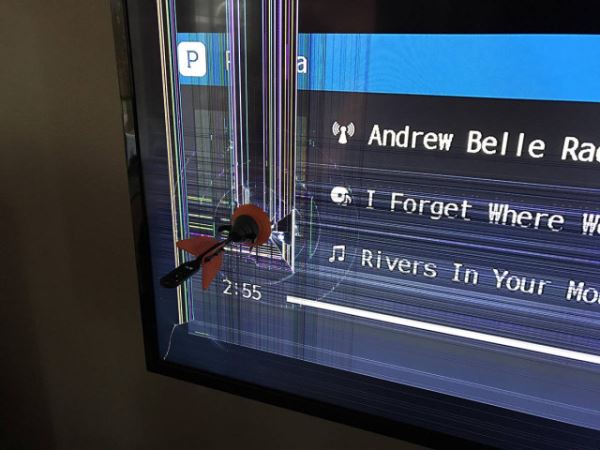 Фотоприколы в понедельник: «Туи ели сосны» (29 фото)