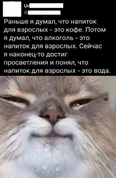 Фотопозитив в понедельник: «Называйте меня эскалатор…» (31 фото)