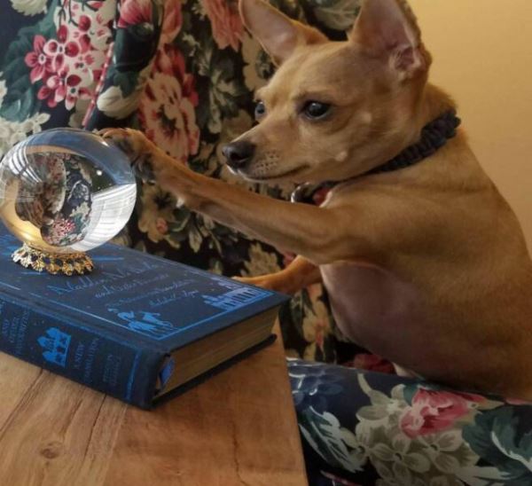 Весёлые пятничные картинки: «Дорогие керамисты!» (36 фото)