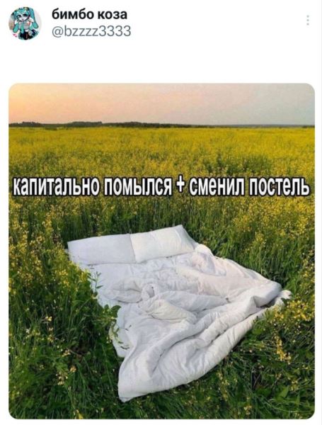 Прикольные комментарии: «Почему мы плачем, когда страдает лук?» (12 фото)