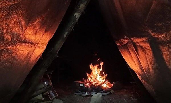 Атмосферные фотографии жизни на природе (11 фото)