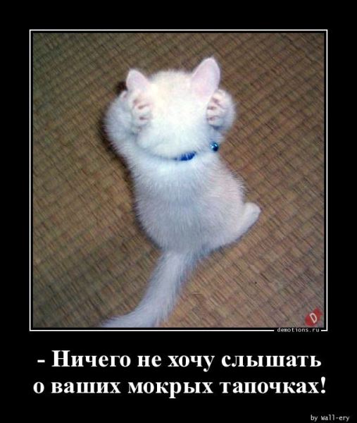 Демотиваторы на любой вкус: «Верить нельзя ничему…» (16 фото)