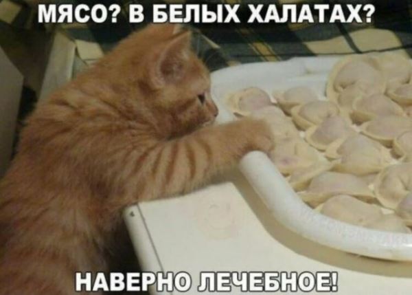 Пятничные фотоприколы: «Во сколько ты обычно заканчиваешь работать?» (36 фото)