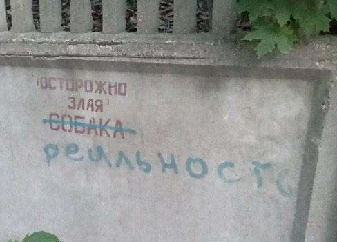 Смешные объявления, вывески и реклама: «Печенье кокосовое…» (12 фото)