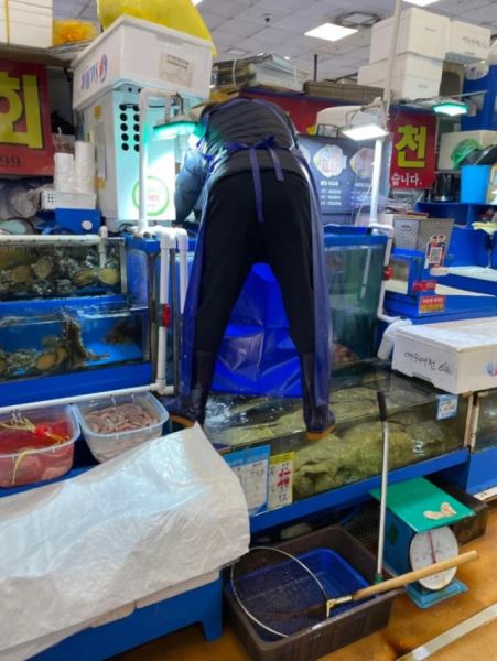 Техника безопасности в действии и бездействии (12 фото)